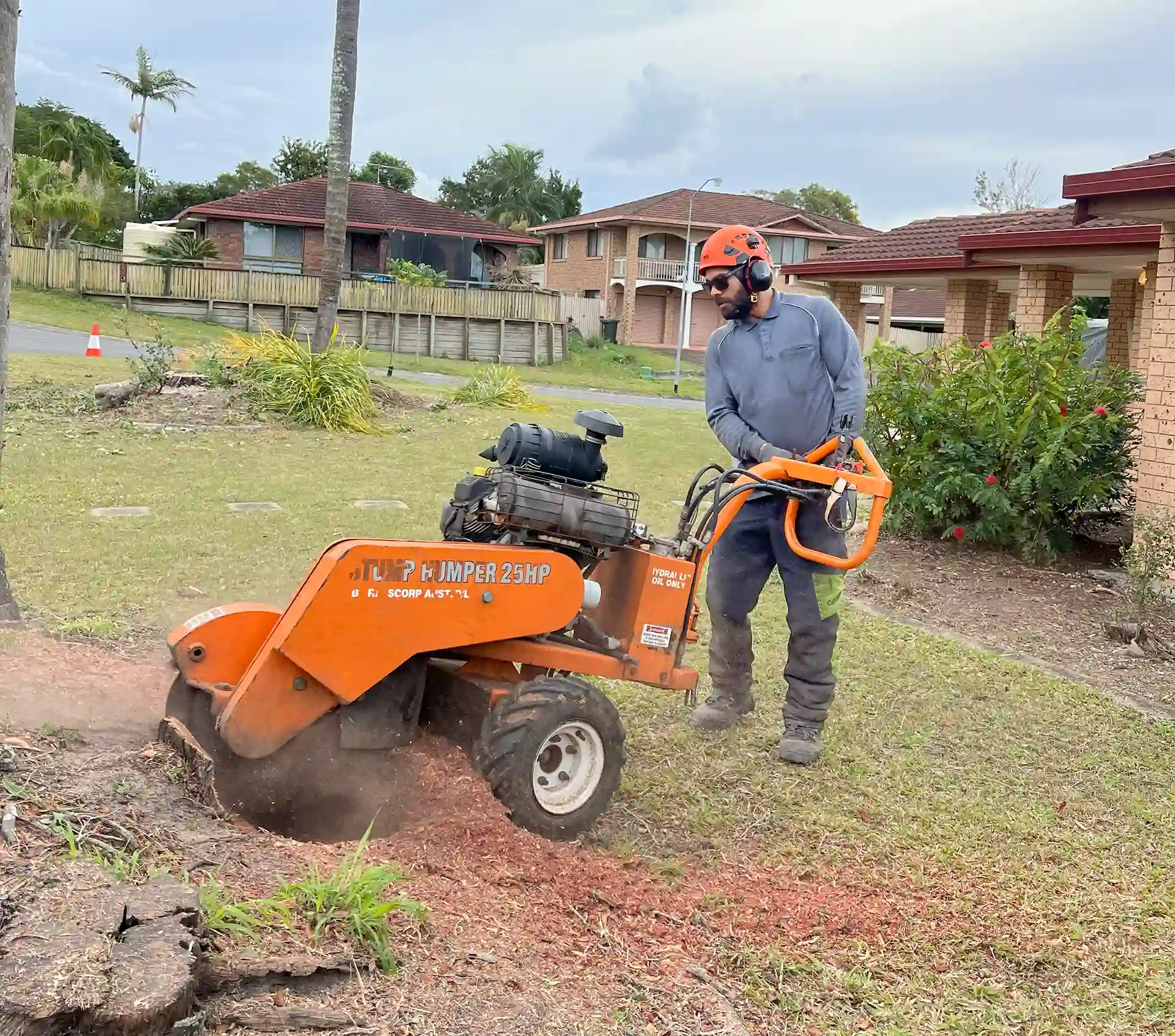 Stump Grinding Brisbane - JCL Tree Services