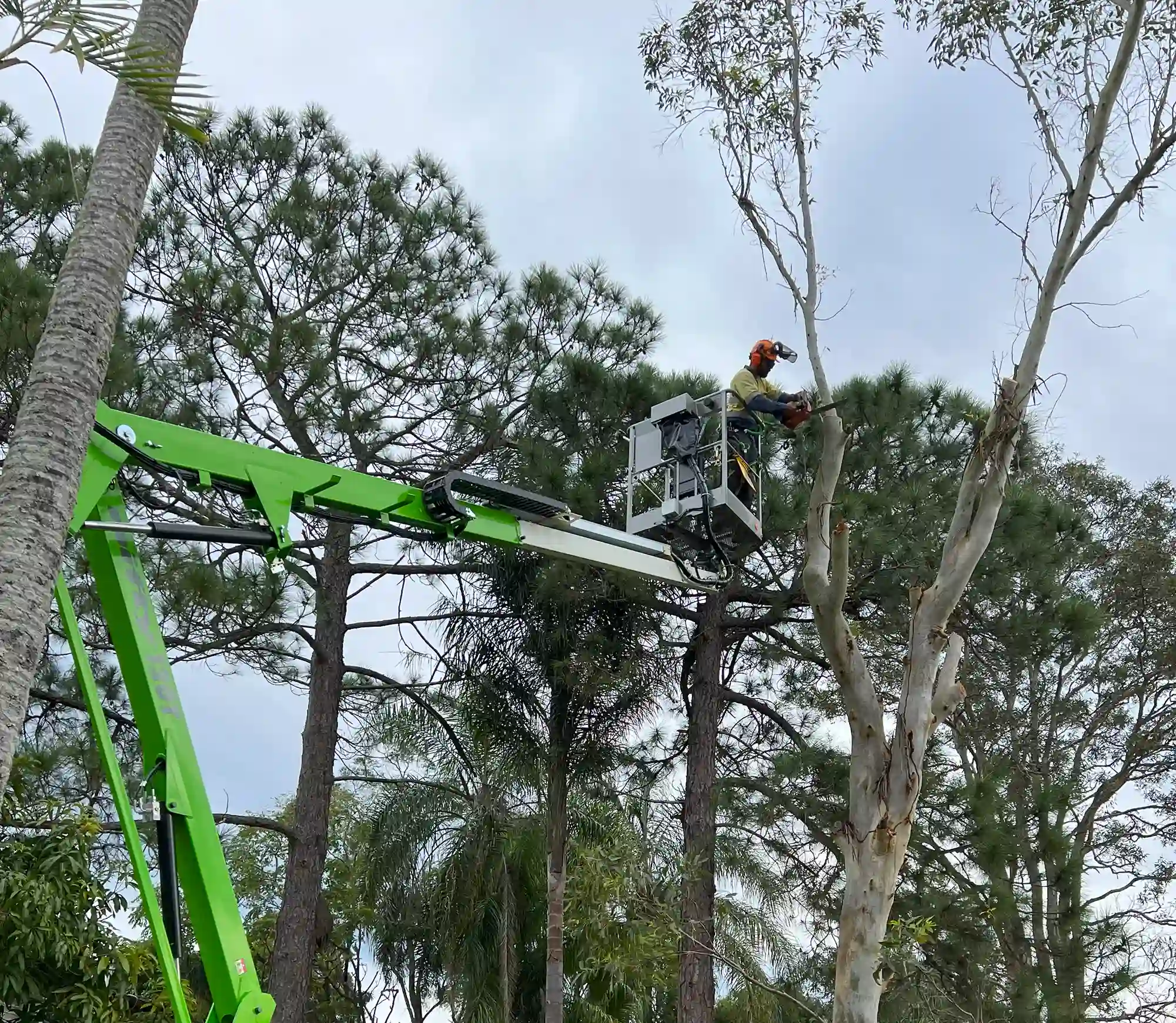 24/7 Emergency Tree Service - JCL Tree Services
